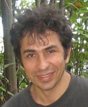 Ivilin Stoianov